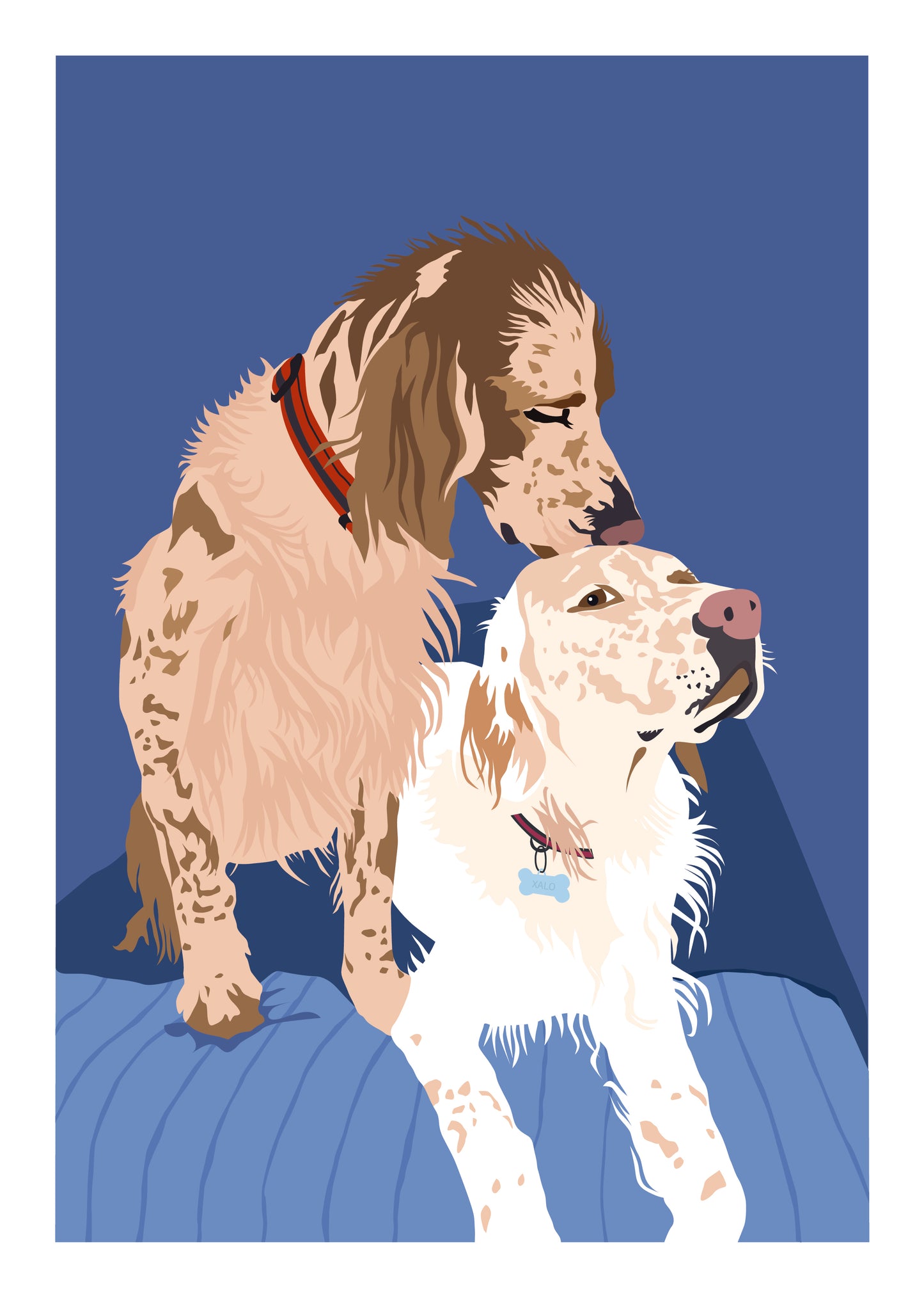 Animales